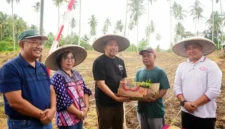 Wakil Wali Kota Manado, dr. Richard Sualang, saat menyerahkan bantuan bibit secara simbolis kepada pengurus Kelompok Tani Solafide di Kecamatan Bunaken. Foto : Pemkot Manado