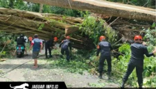Personel Batalyon C Pelopor Satbrimob Polda Sulut saat mengevakuasi material pohon yang menutupi badan jalan di jalur Warembungan-Sea, Minggu (19/4/2026).