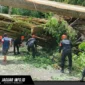 Personel Batalyon C Pelopor Satbrimob Polda Sulut saat mengevakuasi material pohon yang menutupi badan jalan di jalur Warembungan-Sea, Minggu (19/4/2026).