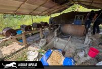 Personel Satreskrim Polres Tomohon saat mengamankan barang bukti berupa mesin tromol dan bahan kimia di lokasi penambangan emas ilegal Desa Teling.