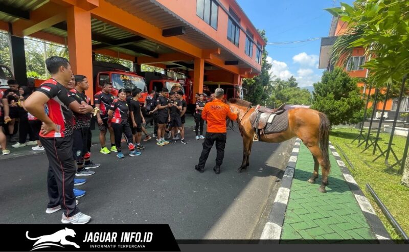 Personel Basarnas Sulut sedang mempraktikkan teknik kendali hewan saat latihan berkuda untuk mendukung operasi SAR di wilayah Manado.