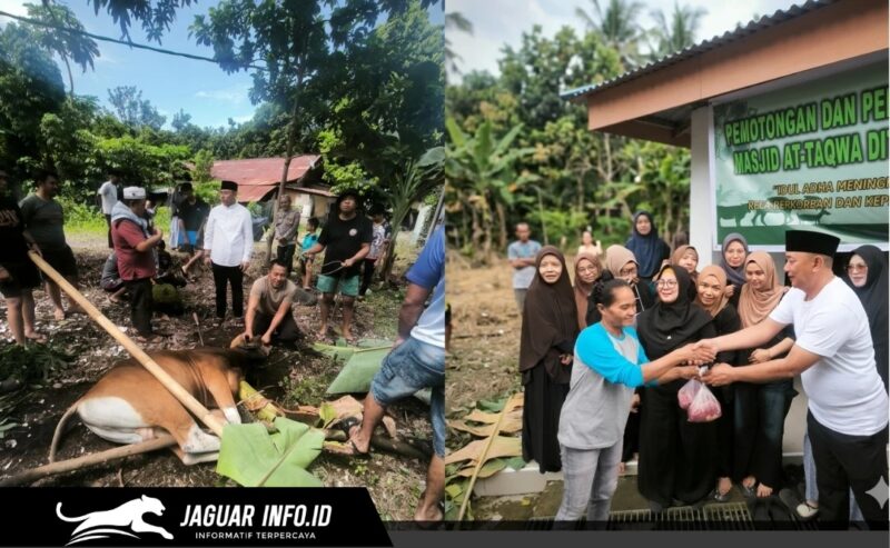Direktur Polairud Polda Sulut, Kombes Pol Bayuaji Yudha Prajas, S.H., M.H., saat memantau proses penyembelihan dua ekor sapi kurban di Mako Ditpolairud Polda Sulut, Bitung, pada 27-05-2026.
