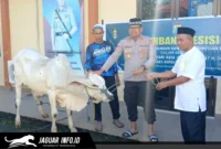 Kapolres Kepulauan Sangihe AKBP Abdul Kholik menyerahkan hewan kurban secara simbolis kepada petugas penyembelih Ustadz Umar Bin Smith di halaman Mako Polres, Rabu 27/05/26.
