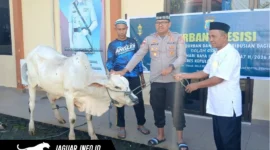 Kapolres Kepulauan Sangihe AKBP Abdul Kholik menyerahkan hewan kurban secara simbolis kepada petugas penyembelih Ustadz Umar Bin Smith di halaman Mako Polres, Rabu 27/05/26.