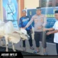 Kapolres Kepulauan Sangihe AKBP Abdul Kholik menyerahkan hewan kurban secara simbolis kepada petugas penyembelih Ustadz Umar Bin Smith di halaman Mako Polres, Rabu 27/05/26.