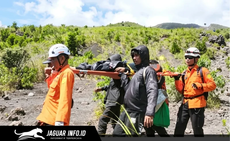Tim SAR Gabungan saat melakukan proses evakuasi dua pendaki yang mengalami cedera di Gunung Soputan pada 20/06/26.