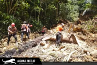Tim SAR Gabungan melakukan evaluasi akhir dan pelepasan personel di lokasi pencarian Desa Mopait pada hari ketujuh operasi.