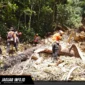 Tim SAR Gabungan melakukan evaluasi akhir dan pelepasan personel di lokasi pencarian Desa Mopait pada hari ketujuh operasi.