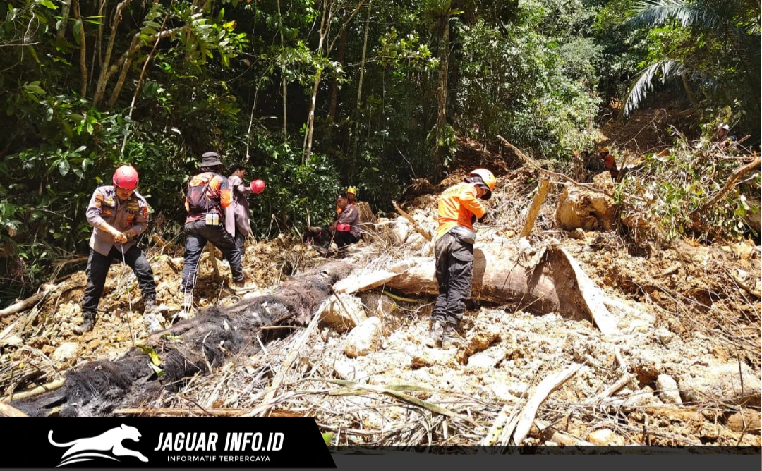 Tim SAR Gabungan melakukan evaluasi akhir dan pelepasan personel di lokasi pencarian Desa Mopait pada hari ketujuh operasi.