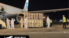 Petugas Karantina Sulut melakukan pengecekan kesehatan terhadap bibit babi impor setibanya di Bandara Sam Ratulangi, Manado.