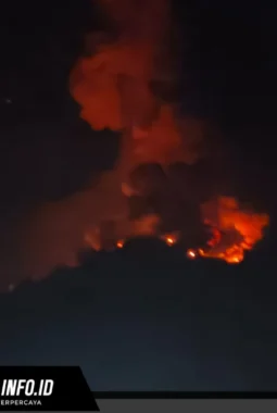 BREAKING NEWS ! Gunung Karangetang di Siau Erupsi, Semburkan Lava Pijar Sejauh 700 Meter