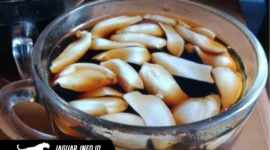Sajian segelas kopi hitam dengan campuran kacang kenari. Foto : Pirates