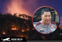 Potret ilustrasi ancaman Kebakaran Hutan dan Lahan (Karhutla) akibat cuaca panas El Nino