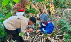 Jaga Keanekaragaman Hayati, Pertamina Patra Niaga dan Kebun Raya Pucak Eksplorasi Flora Sulawesi di Bone