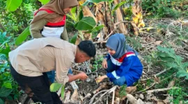 Tim gabungan Pertamina Patra Niaga AFT Hasanuddin, UPT Kebun Raya Pucak, dan KPH Cenrana saat melaksanakan penelusuran dan pengamatan langsung flora lokal dalam program Hutan Pertamina Hasanuddin di Kabupaten Bone, Sulawesi Selatan. (Dok. Istimewa/Pertamina Patra Niaga)