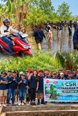 PT DAW Tanam 500 Bibit Mangrove di Bahowo, Dukung Kelestarian Pesisir