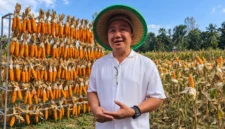 Owner Girian Jaya, Voultair Loma, saat diwawancarai awak media usai panen jagung varietas Yellow Corn di Minahasa Utara, Rabu (28/10/2026).