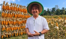 Panen Jagung di Musim Kemarau, Owner Girian Jaya Voultair Loma Tuai Apresiasi Kapolda Sulut