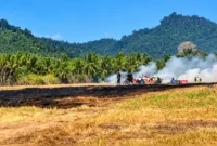 Kebakaran rumput di sekitar Runway 18 Bandara Sam Ratulangi Manado berdampak pada operasional penerbangan.
