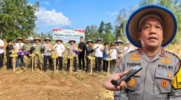 Kapolda Sulut Yudo Hermanto bersama Forkopimda menghadiri panen raya jagung varietas Yellow Corn di Minahasa Utara.